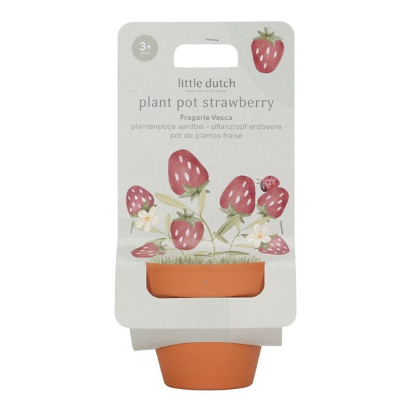 Maceta planta Fresas · Little Dutch