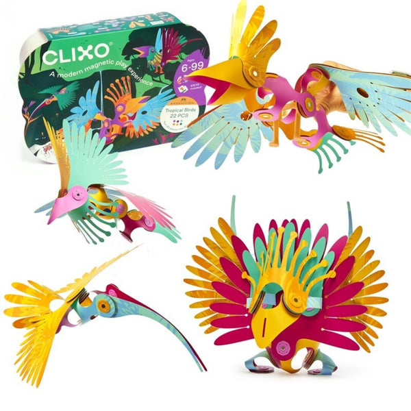 Tropical Birds · Clixo