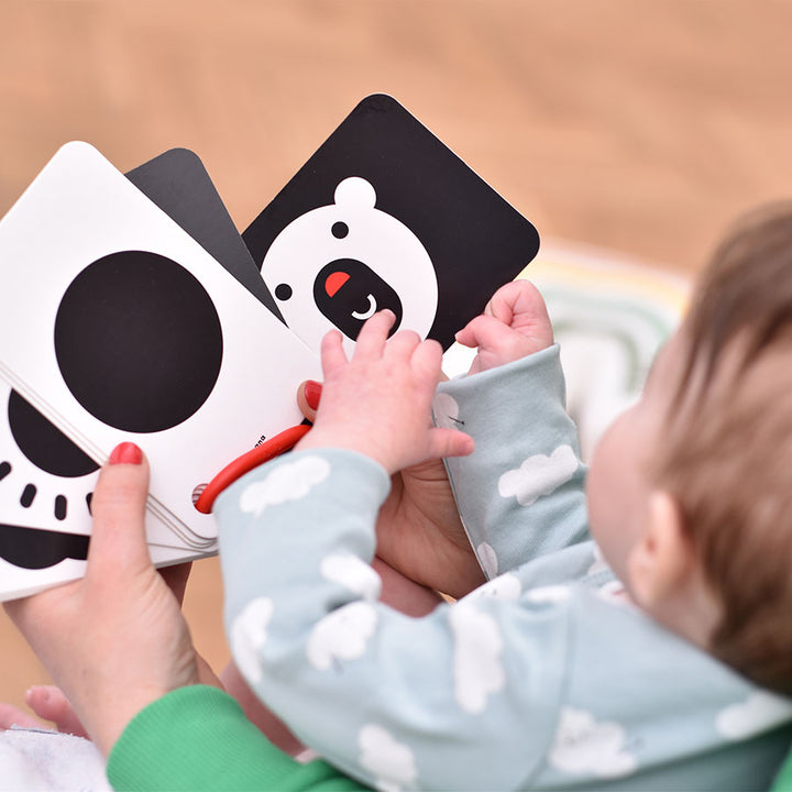 Flash Cards de alto contraste · Banana Panda - Bizcocho de Yogur