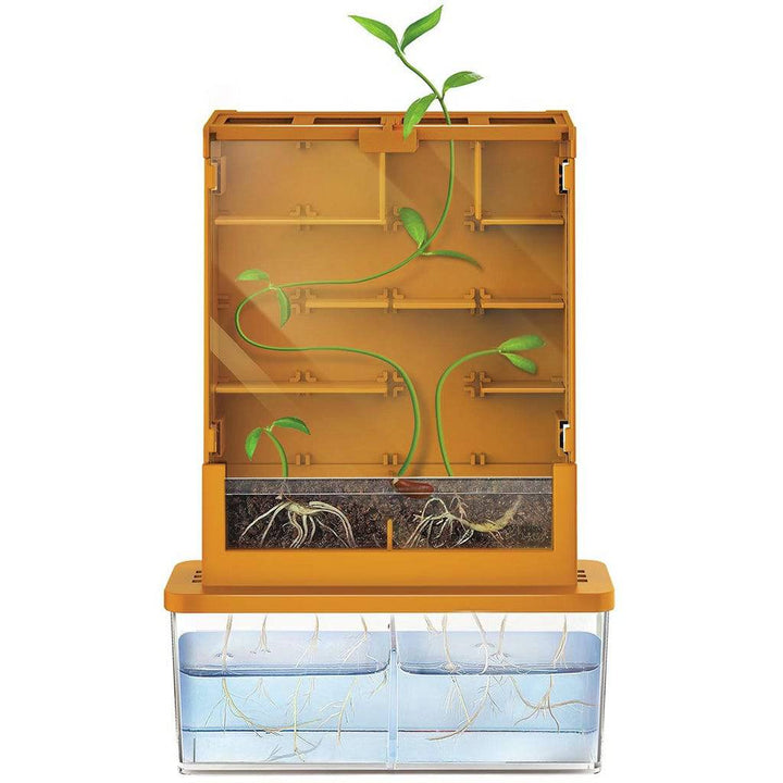 GreenScience Haz crecer tus plantas Laberinto · 4M - Bizcocho de Yogur