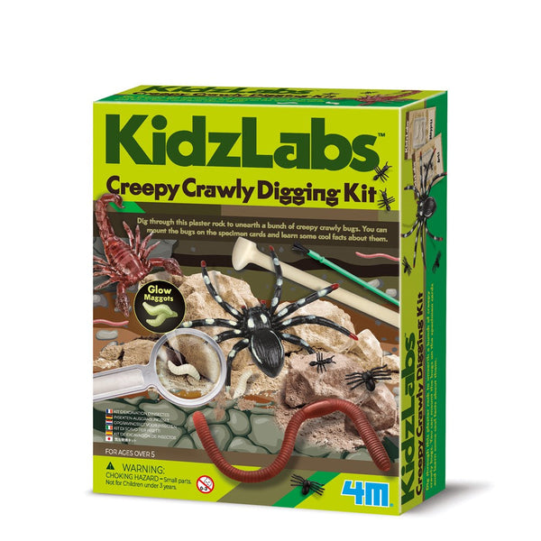 KidzLabs Excavación de Insectos · 4M - Bizcocho de Yogur