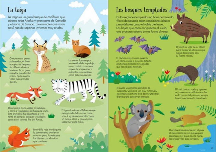 Libro Puzzle · Animales del Mundo - Bizcocho de Yogur