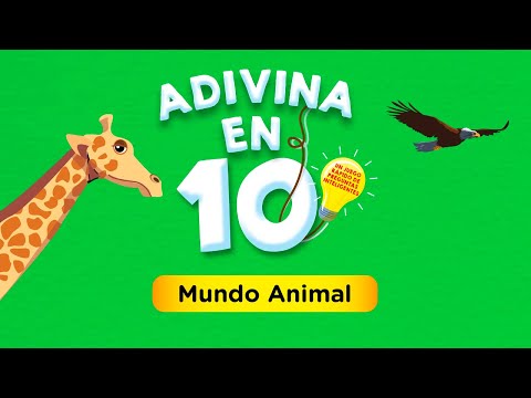 Vídeo destacado