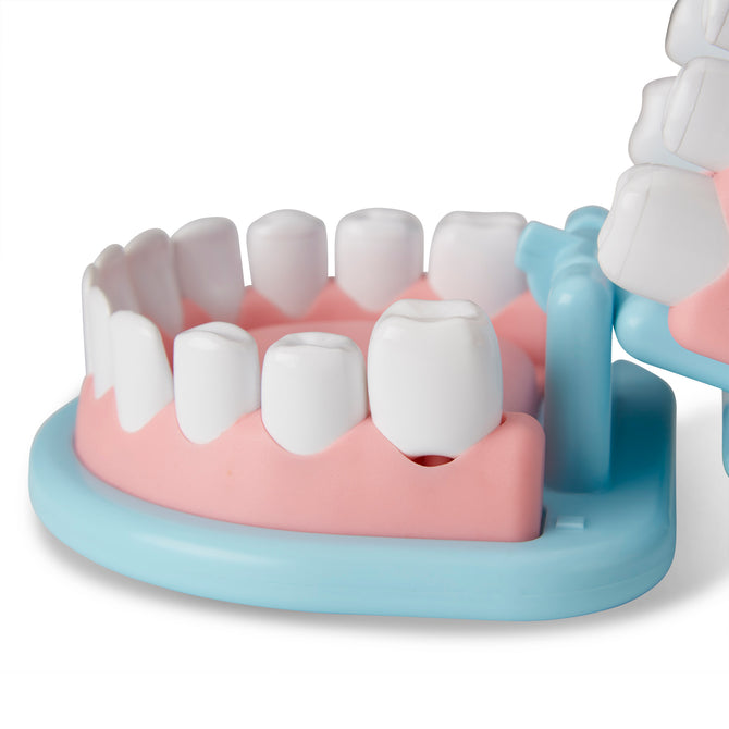 Set Dentista 25 piezas · Melissa & Doug - Bizcocho de Yogur